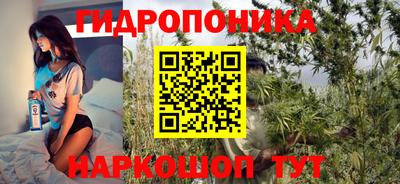 дурь Гусиноозёрск