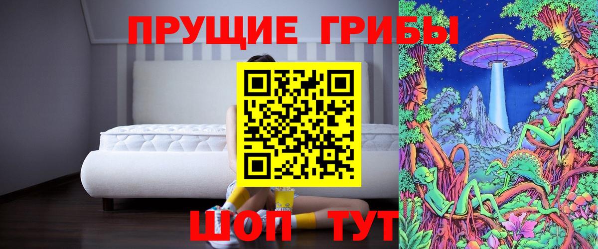 Галлюциногенные грибы Cubensis Канск