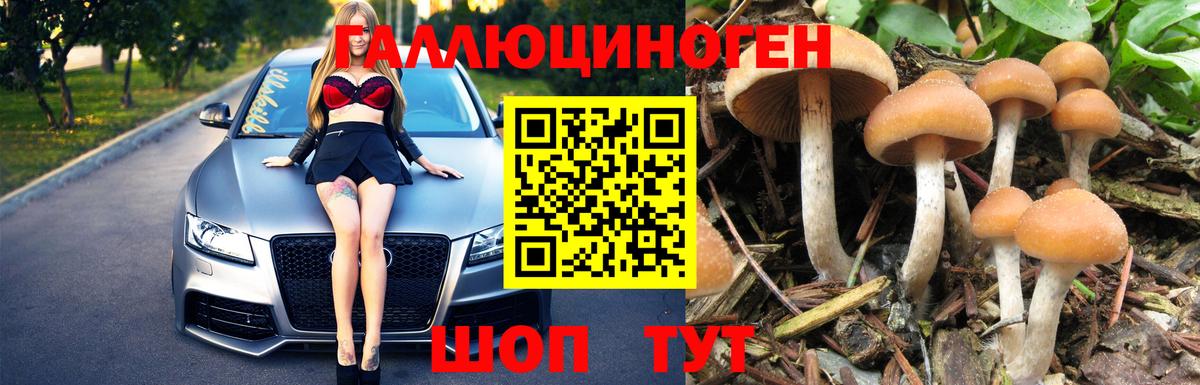 Канск  Псилоцибиновые грибы прущие грибы  Вход с VPN  Псилоцибиновые грибы Cubensis 